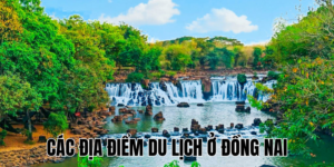 Ảnh Thumb bài viết (1)