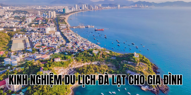 Ảnh Thumb bài viết (1)