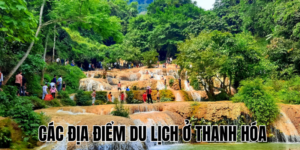 Ảnh Thumb bài viết (19)