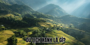 Ảnh Thumb bài viết (21)