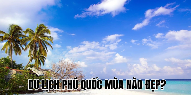 Ảnh Thumb bài viết (22)