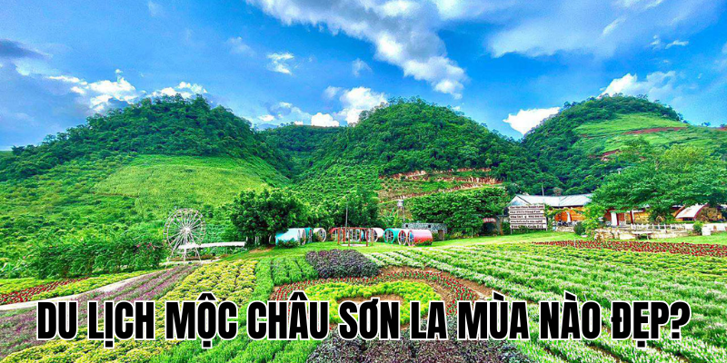 Ảnh Thumb bài viết