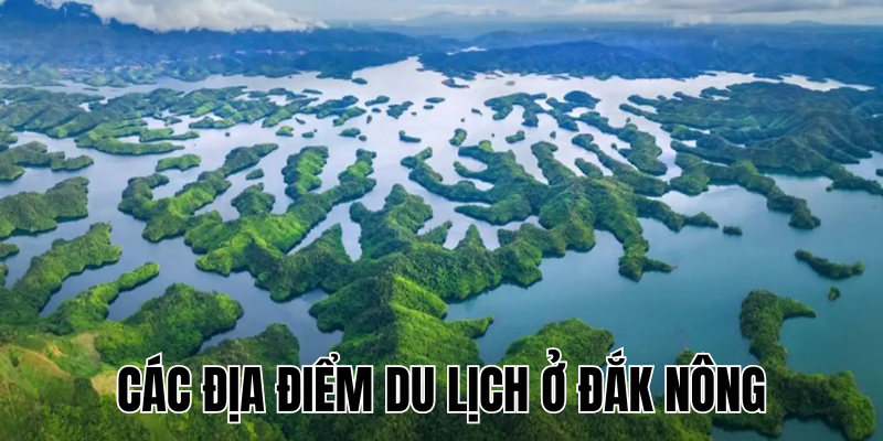 Ảnh Thumb bài viết