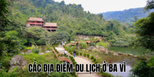 Ảnh Thumb bài viết (3)