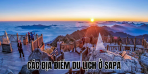 Ảnh Thumb bài viết (3)