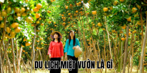 Ảnh Thumb bài viết (3)