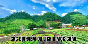 Ảnh Thumb bài viết