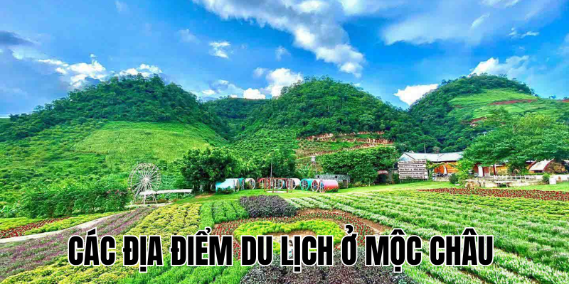 Ảnh Thumb bài viết