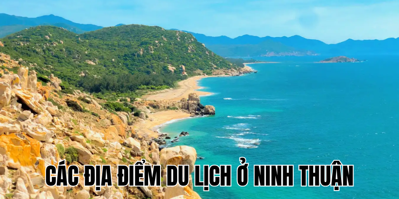 Ảnh Thumb bài viết