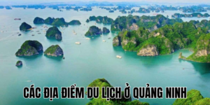 Ảnh Thumb bài viết