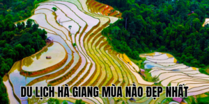 Ảnh Thumb bài viết