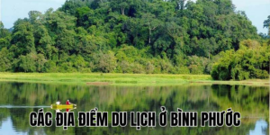 Ảnh Thumb bài viết (5)