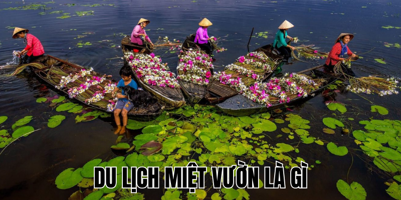 Ảnh Thumb bài viết (5) Ảnh Thumb bài viết (5)