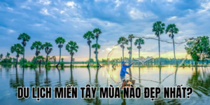 Ảnh Thumb bài viết