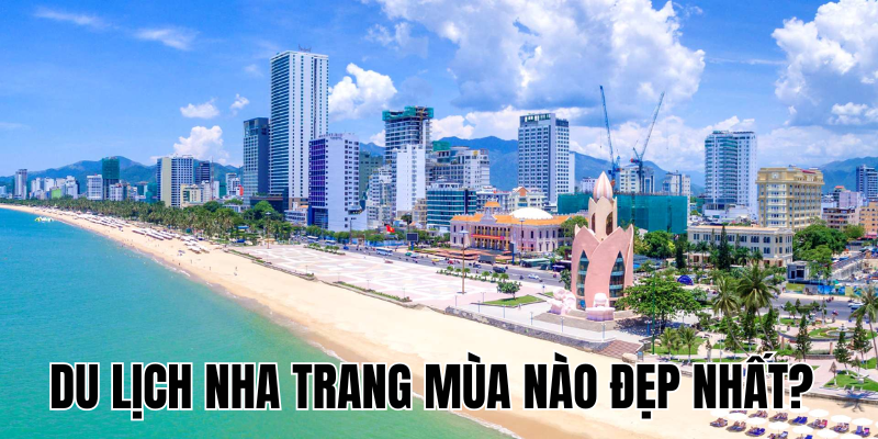 Ảnh Thumb bài viết