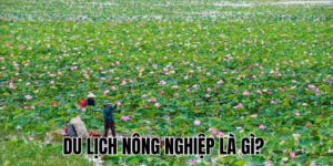 Ảnh Thumb bài viết