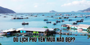 Ảnh Thumb bài viết