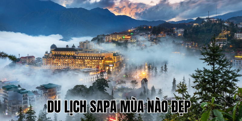 Ảnh Thumb bài viết