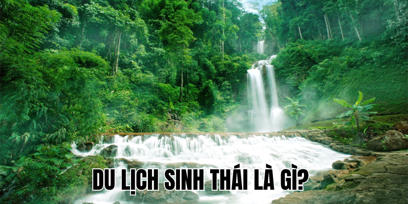 Ảnh Thumb bài viết