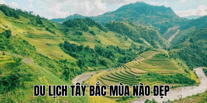 Ảnh Thumb bài viết