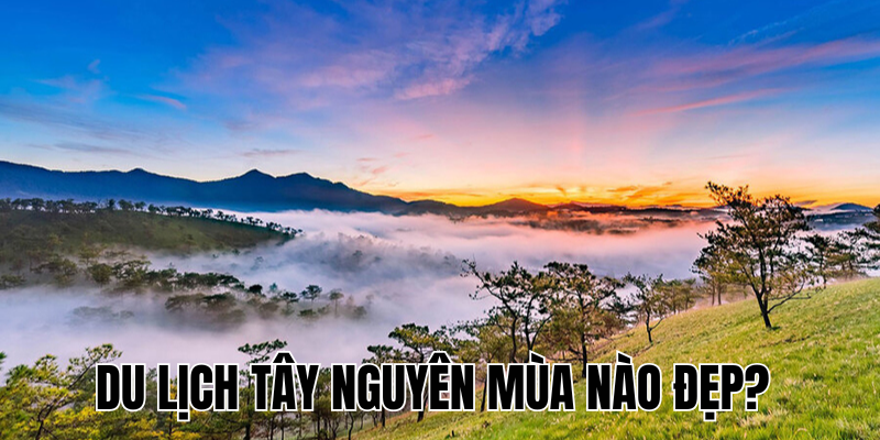 Ảnh Thumb bài viết