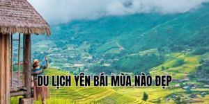 Ảnh Thumb bài viết