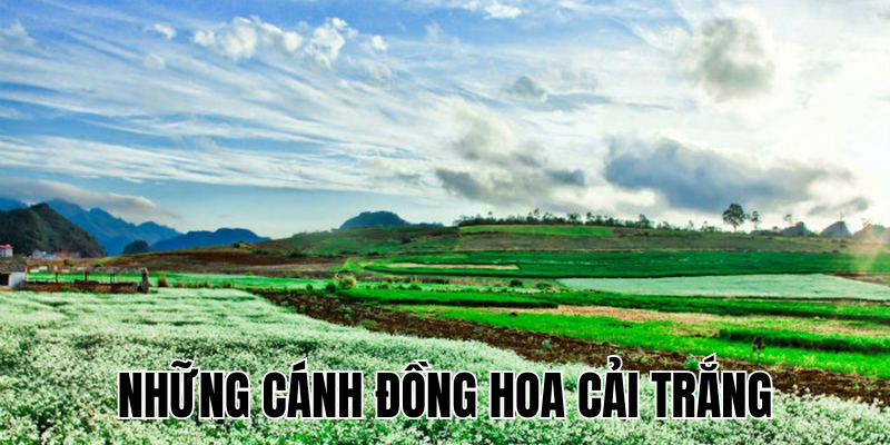 Ảnh Thumb bài viết (7) Ảnh Thumb bài viết (7)