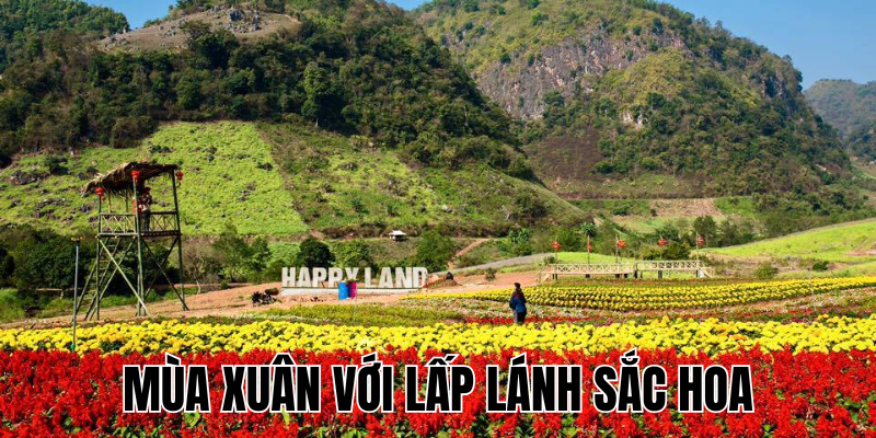 Ảnh Thumb bài viết (8) Ảnh Thumb bài viết (8)