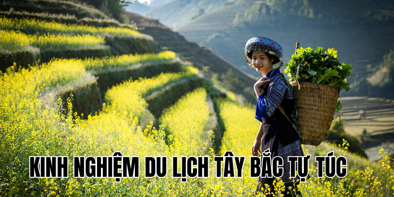 Ảnh Thumb bài viết