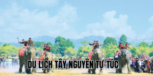 Ảnh Thumb bài viết