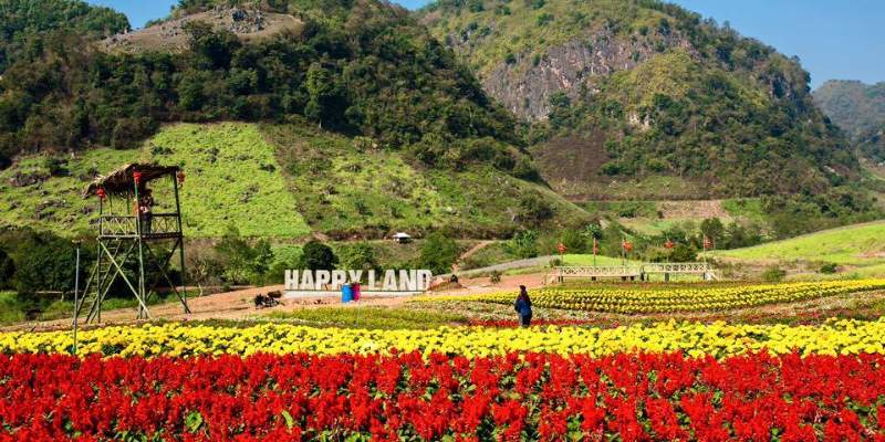 Ảnh trong bài 1 Ảnh trong bài 1