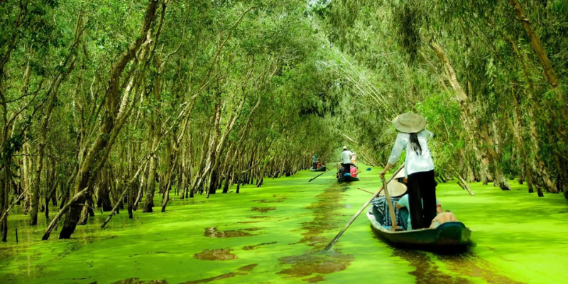 Ảnh trong bài 1 (2)