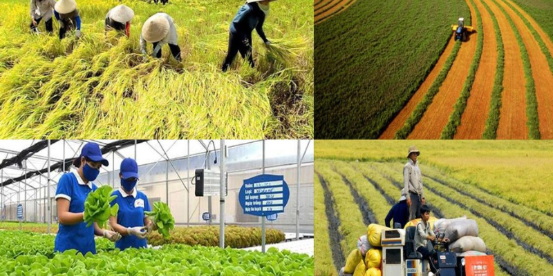 Ảnh trong bài 1 Ảnh trong bài 1