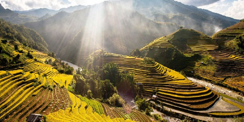 Ảnh trong bài 1 Ảnh trong bài 1