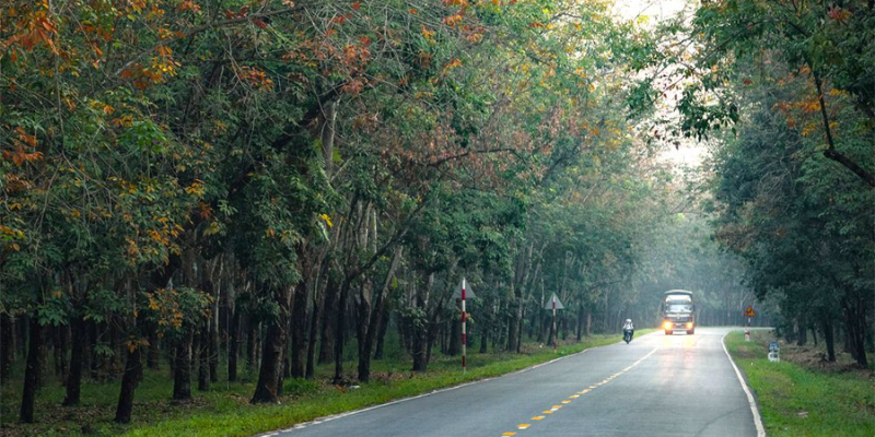 Ảnh trong bài 1 (5)