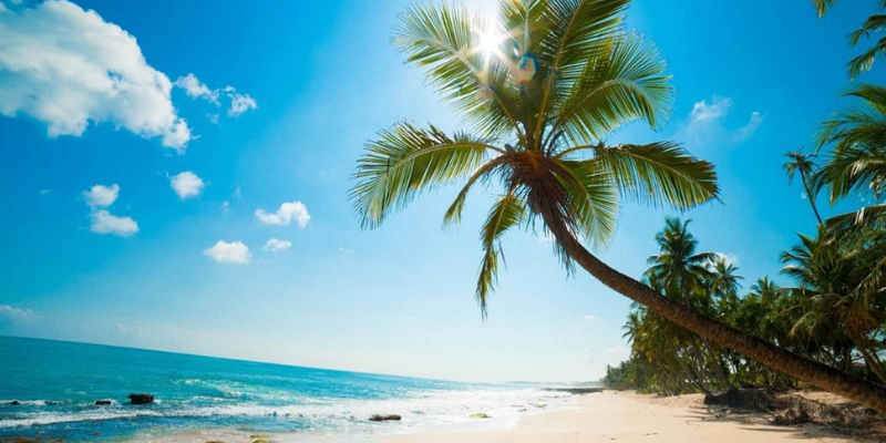 Ảnh trong bài 1 Ảnh trong bài 1