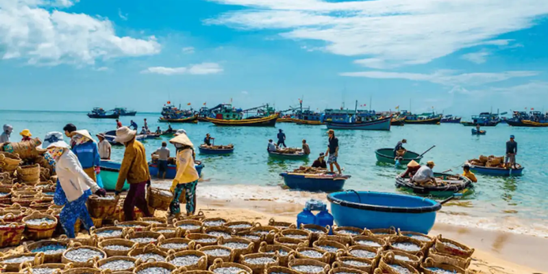 Ảnh trong bài 2 Ảnh trong bài 2