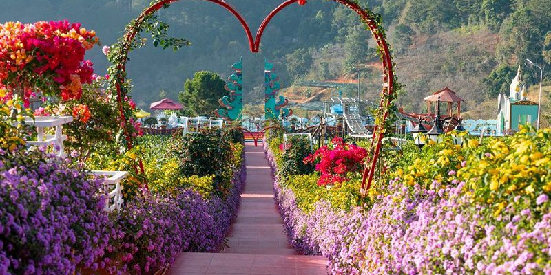 Ảnh trong bài 2 (2)