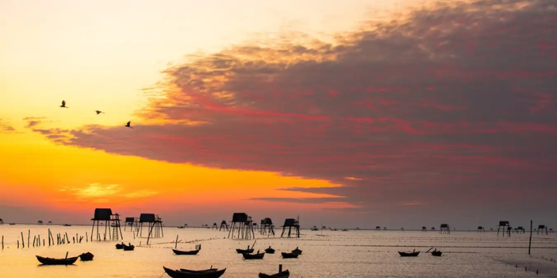 Ảnh trong bài 2 Ảnh trong bài 2