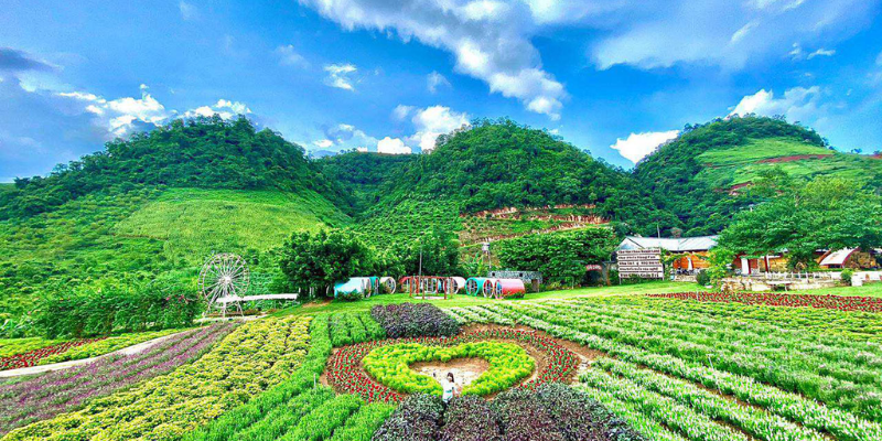 Ảnh trong bài 2 Ảnh trong bài 2