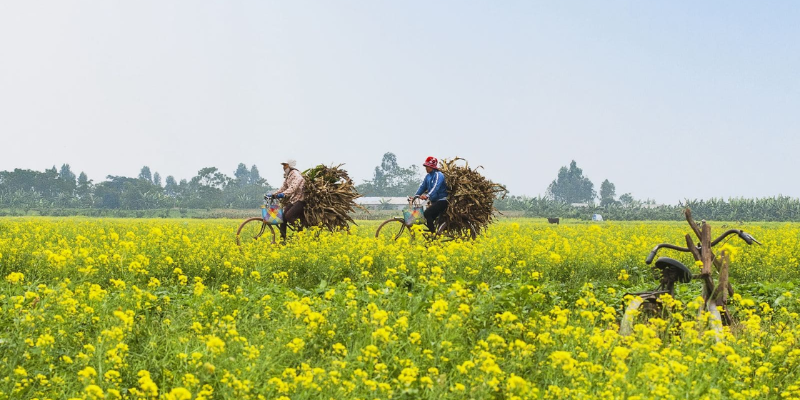 Ảnh trong bài 2 Ảnh trong bài 2