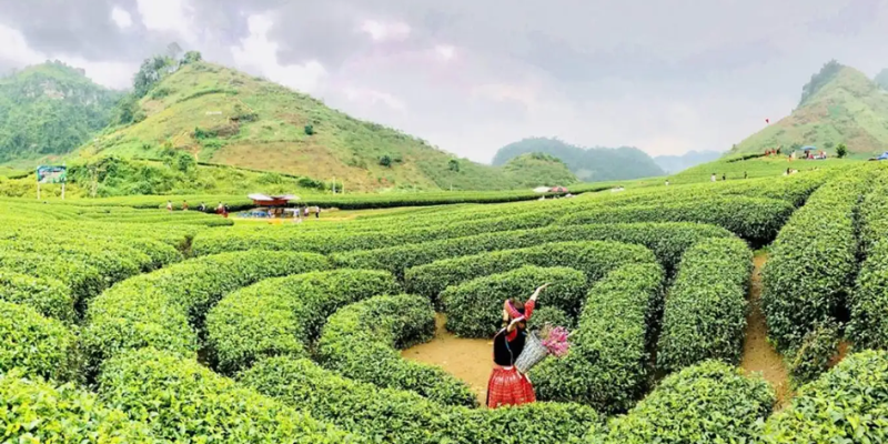 Ảnh trong bài 3 Ảnh trong bài 3