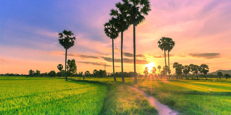 Ảnh trong bài 3 (2)