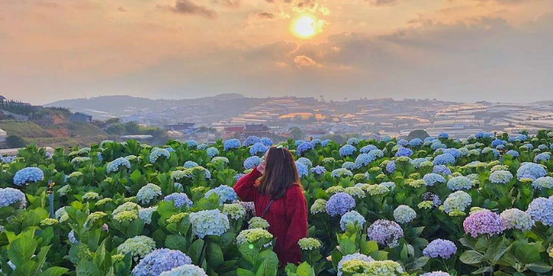 Ảnh trong bài 3 (2)