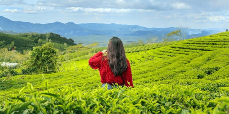 Ảnh trong bài 3 Ảnh trong bài 3